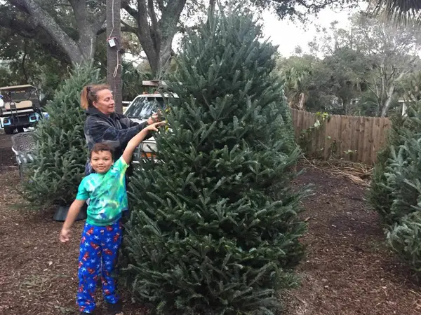 A boy reaching up to hang a photo ornament on the big Christmas in Heaven Tree